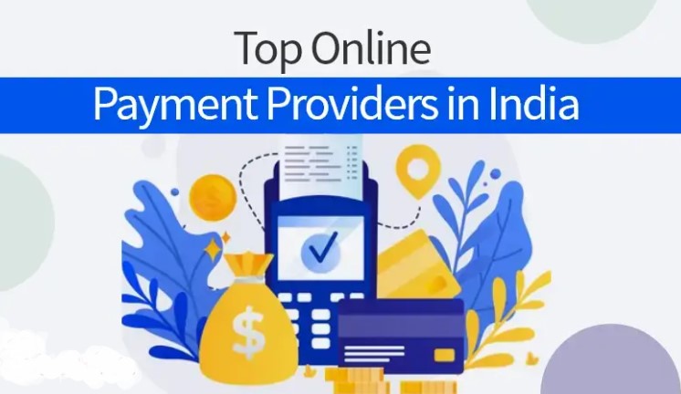 payment-provider-leadership-guidance-in-india