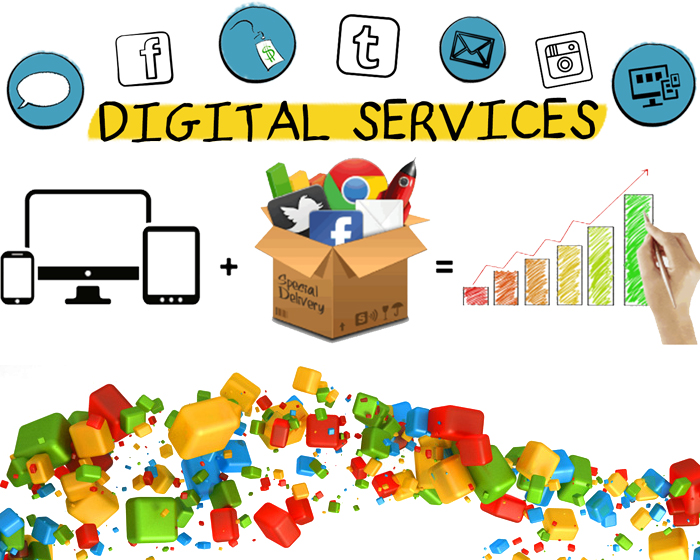 high-risk-psp-digital-services-in-india