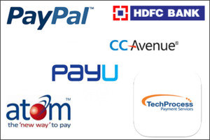 payment-processing-for-business-integration-in-india