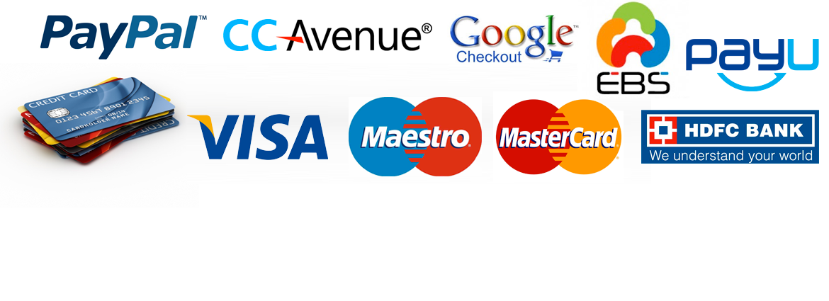payment-provider-payment-processing-companies-in-india