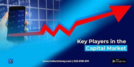 Key Players in the Indian Market