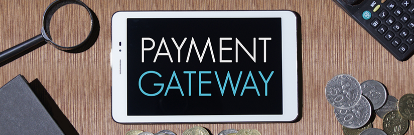 Payment Gateway Electronic Software in India