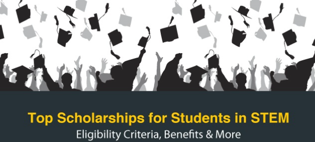 High-Risk Financial Aid Consulting for STEM Scholarships in India