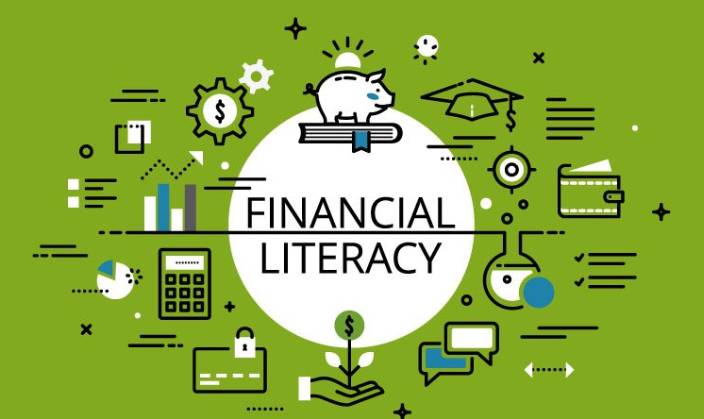 Payment Provider Financial Literacy And Aid Consulting in India