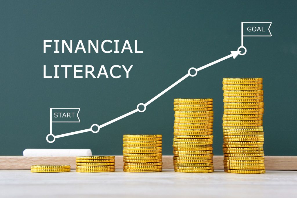 Payment Provider Financial Literacy And Aid Consulting in India